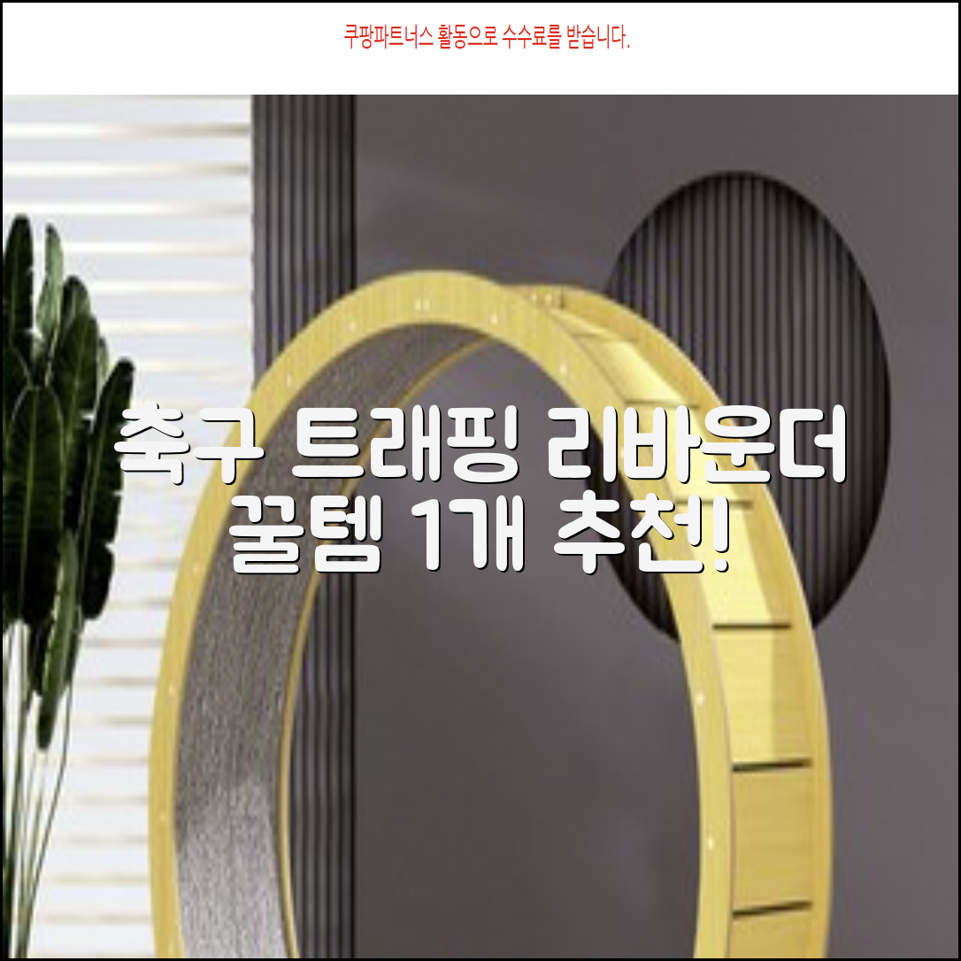 축구 리프팅 트래핑 리바운더 리바운드 네트, 1개 추천 리뷰