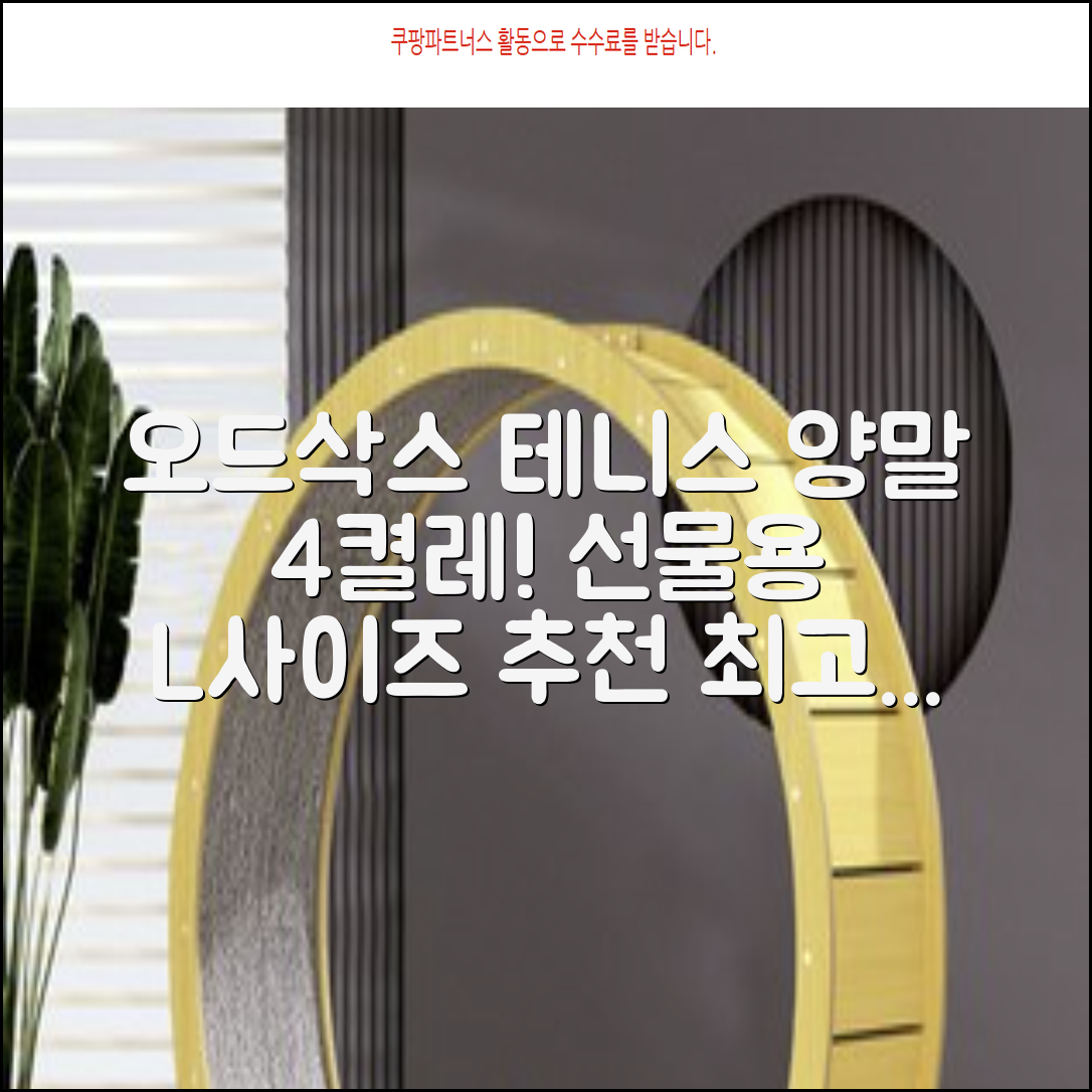 [오드삭스] 테니스 양말 세트B 4켤레 선물용, L(255mm-275mm), 1개 추천 리뷰