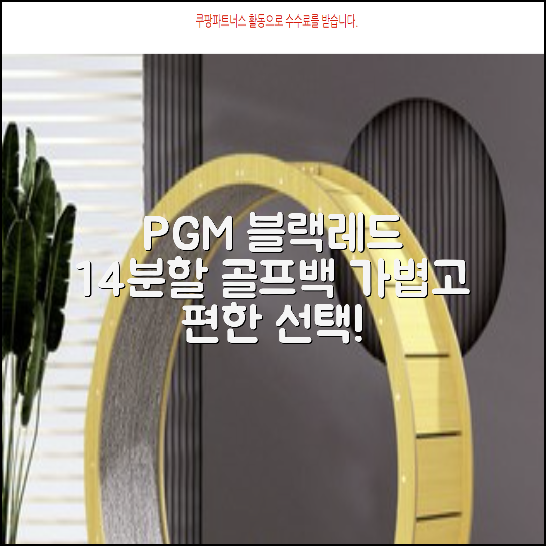 피지엠코리아 PGM 경량 14분할 골프백 스탠드백 캐디백, 블랙레드 추천 리뷰