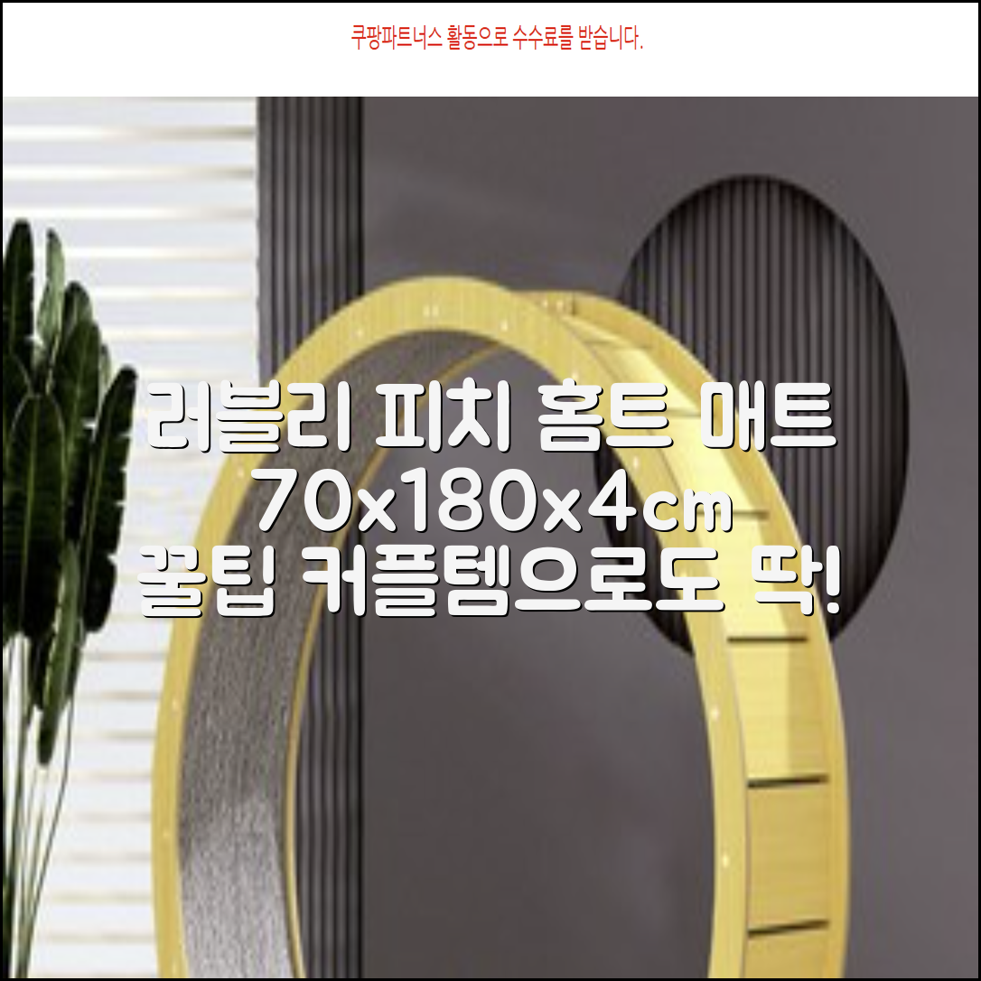홈베스트 트레이닝 매트 70x180x4cm, 러블리_피치 추천 리뷰